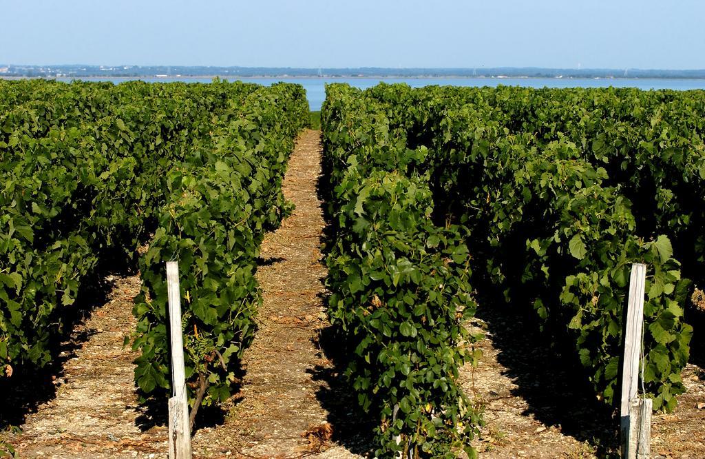 Vvf Soulac-Sur-Mer Bordeaux Medoc Buitenkant foto